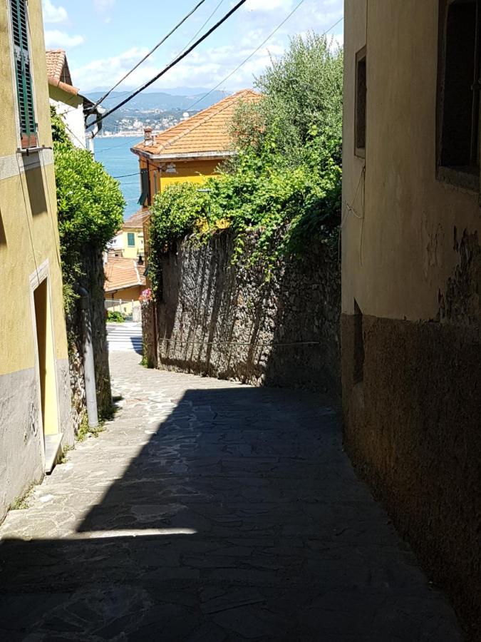 Bed and Breakfast Carugio Del Fezzano Fezzano  Exterior foto